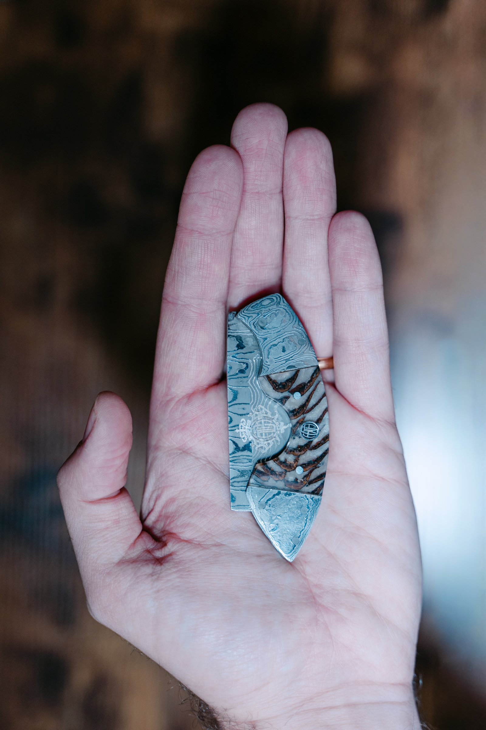 Solar Heritage Series - immagine 5